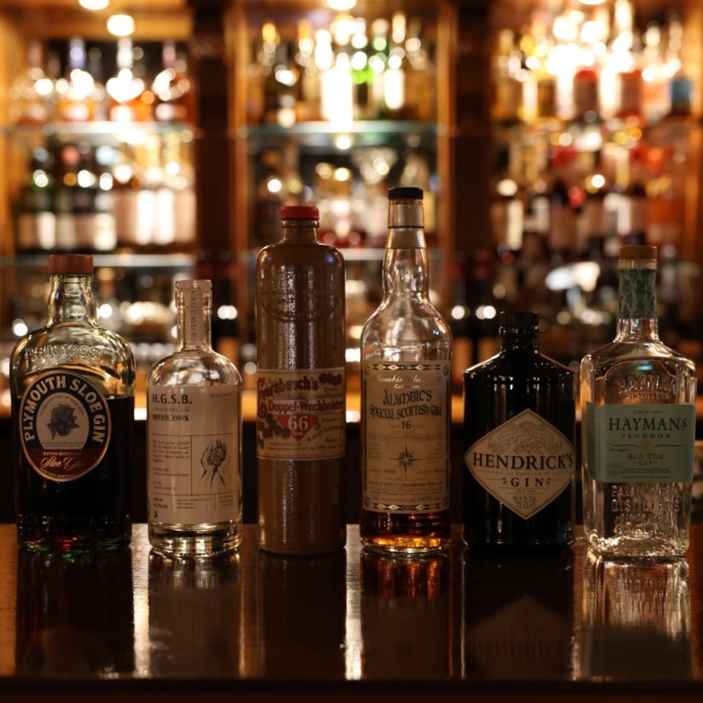Gin Tasting (inkl. G&T Verkostung)